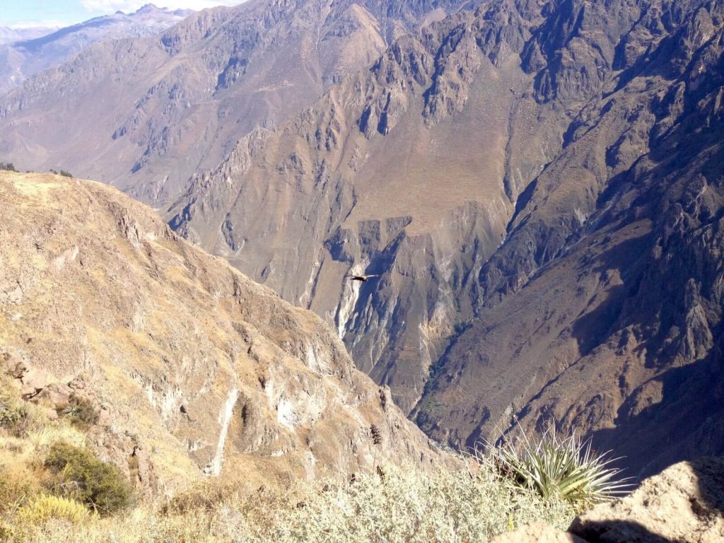 Canyon del Colca