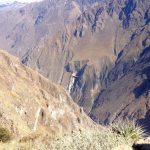Canyon del Colca