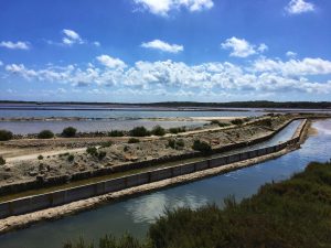 Salinas di Ibiza Salinas di Ibiza