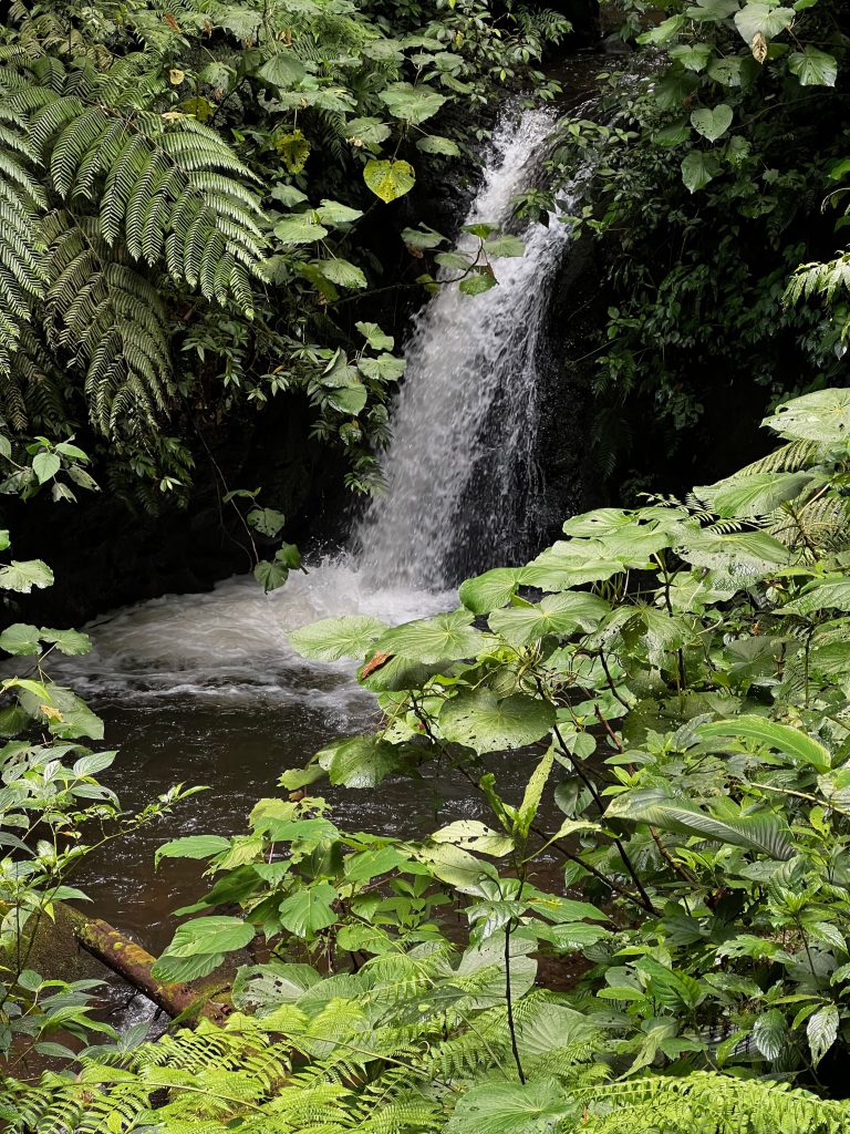 Cascata