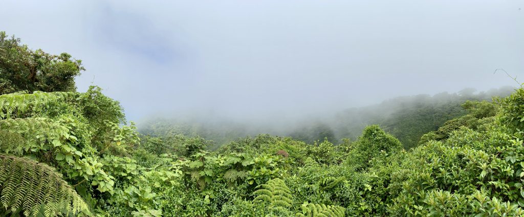 Monteverde Cloud Forest