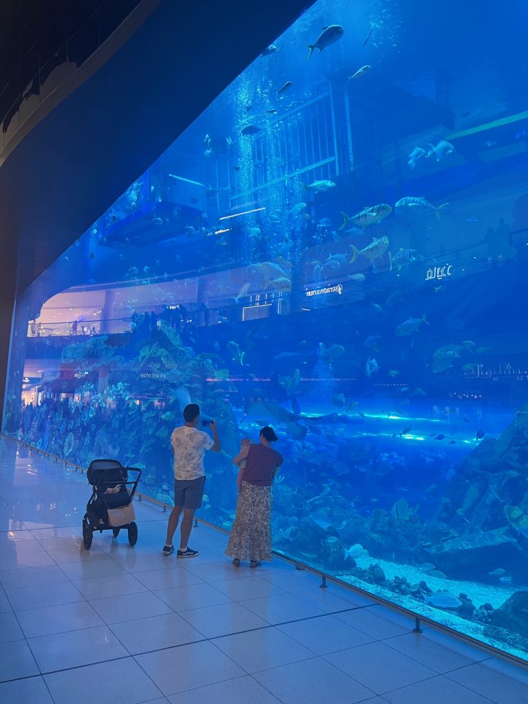 Acquario