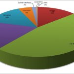 12.Cile Budget
