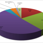 3.Brasile Budget