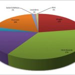 9.Ecuador Budget