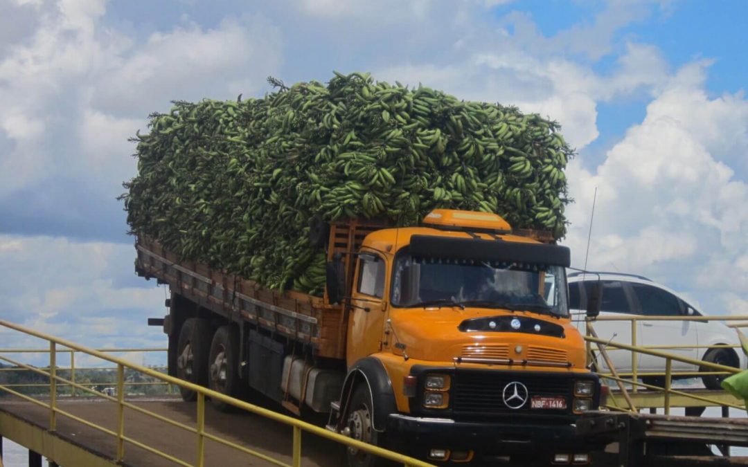16.Da Porto Velho a Manaus