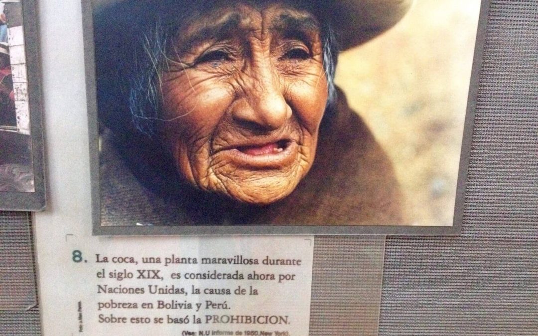 Visita al Museo della Coca di La Paz, Bolivia