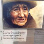 La foglia di coca gioca un ruolo davvero importante in Bolivia, come in Perù e nel nord dell'Argentina.