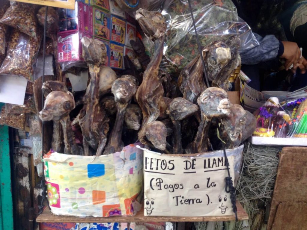 Feti di Lama