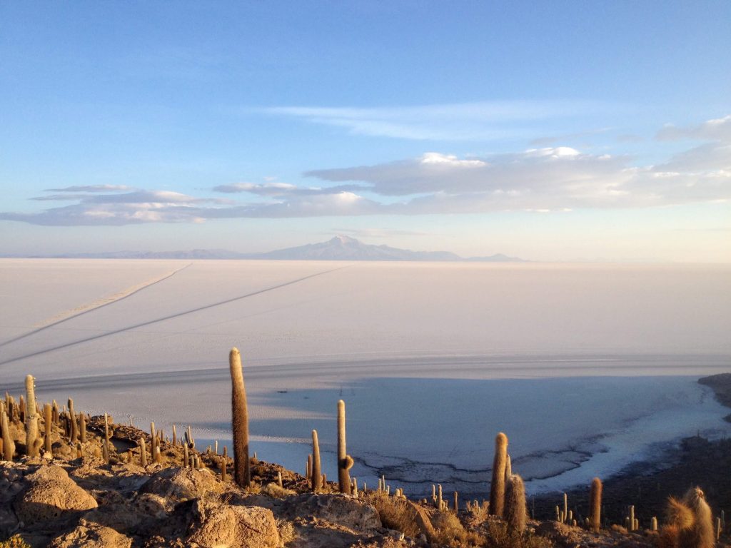 Isla Incahuasi, Salar de Uyuni