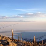 Isla Incahuasi, Salar de Uyuni