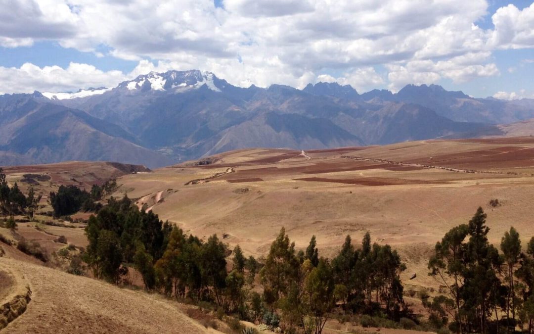 Visita alla Valle Sacra Inca: Pisac, Ollantaytambo e Chinchero, Perù