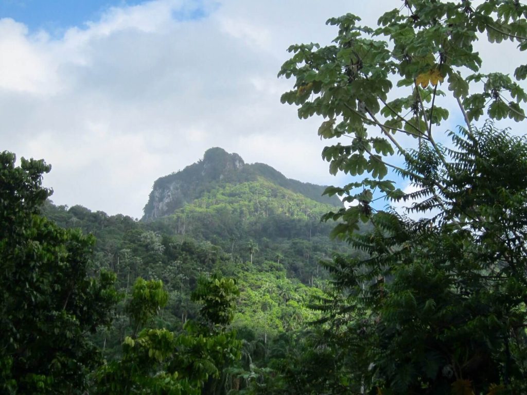 La vetta El Yunque