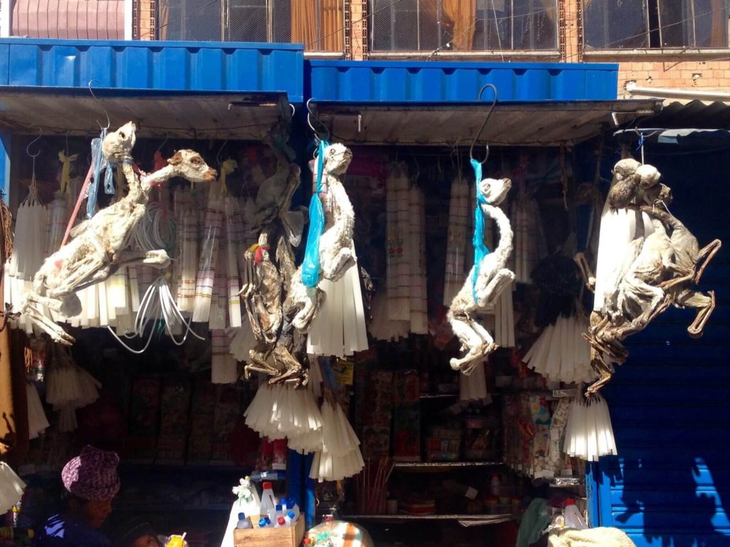 Feti di Lama, Mercado de Hechiceria, La Paz