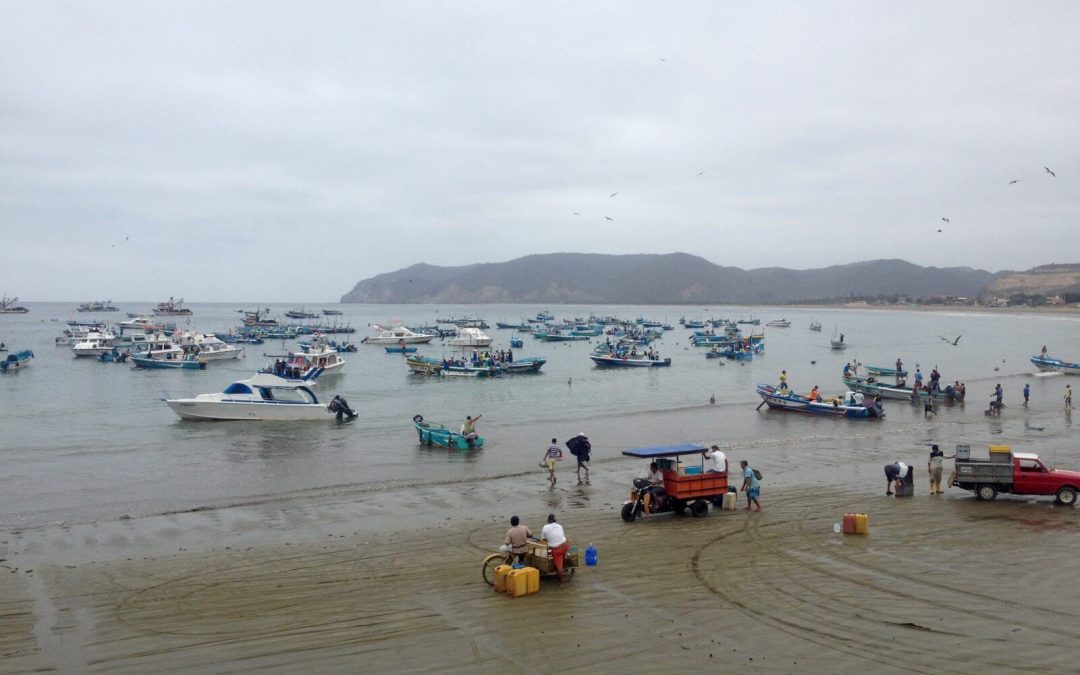 Puerto Lopez, Isla de la Plata e Whale Watching in Ecuador