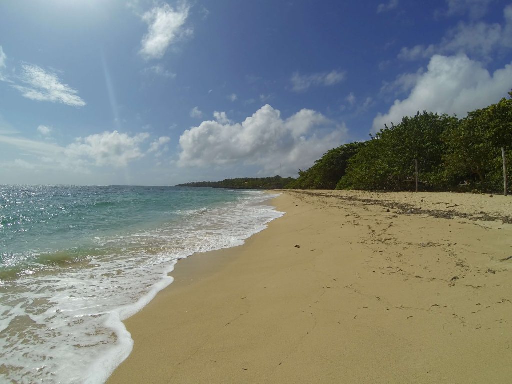Playa Maguana