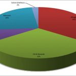 19.Hong Kong Budget