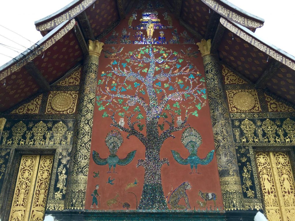 Albero della vita