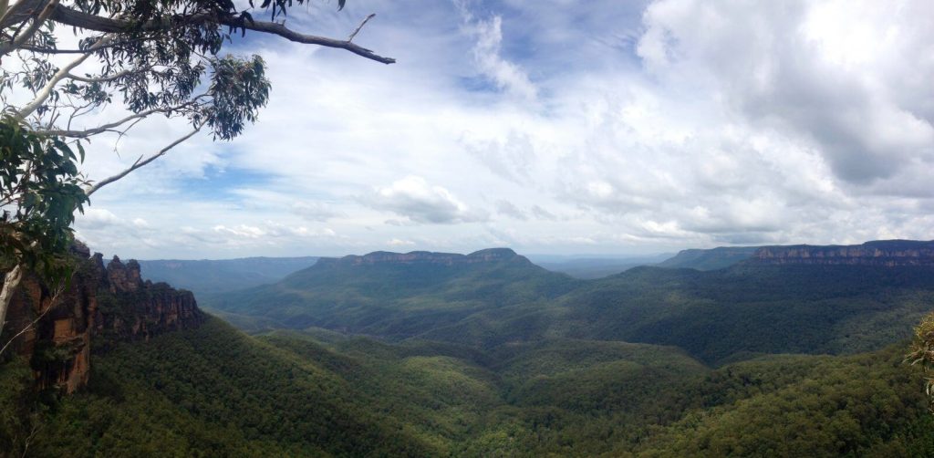 Tra una cima e l'altra si può notare il blu delle Blue Mountains