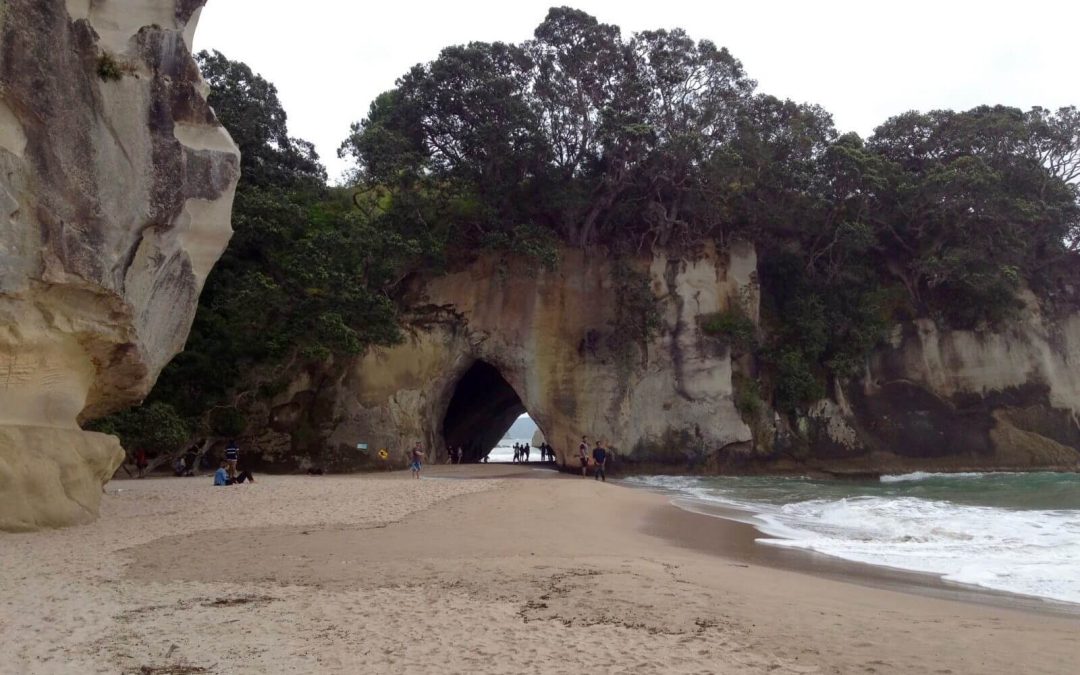Visitare la Cathedral Cove, Hahei , Nuova Zelanda