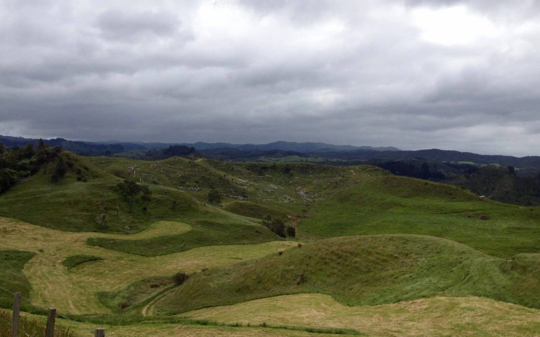 Visitare Waitomo e Glowworm Caves, Nuova Zelanda