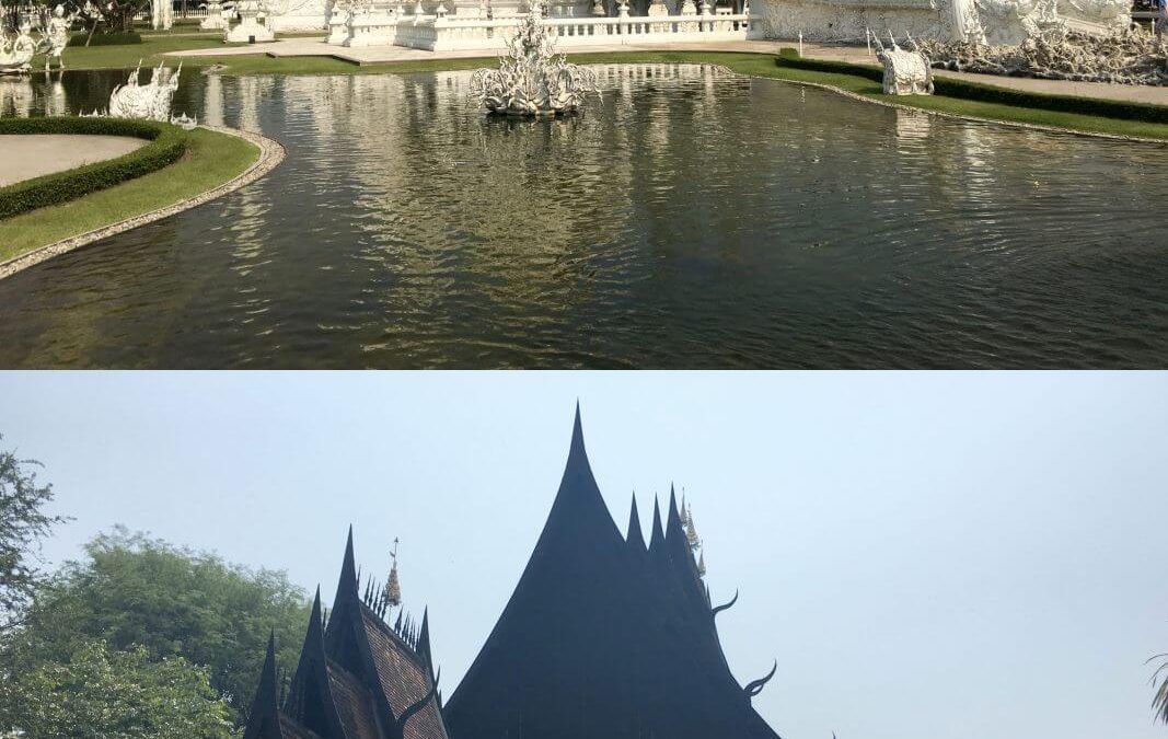 Escursione al Wat Rong Khun e Baan Dam Museum, Chiang Rai, Thailandia