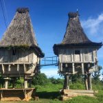 Fataluku Houses, Los Palos, Timor Est