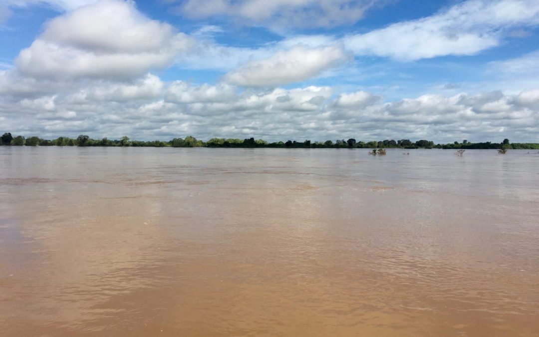 Visita a Kratie e Mekong, Cambogia