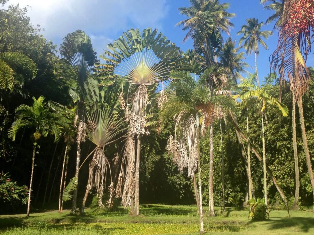 Giardino Botanico di Tahiti