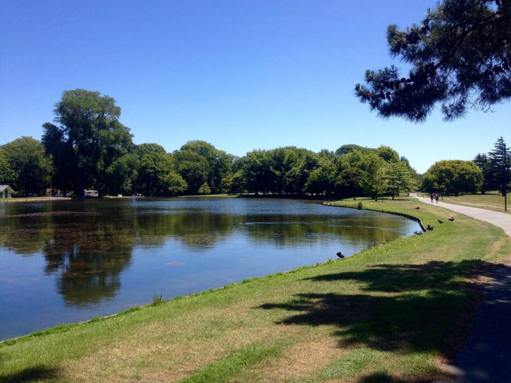 Hagley Park, Christchurch