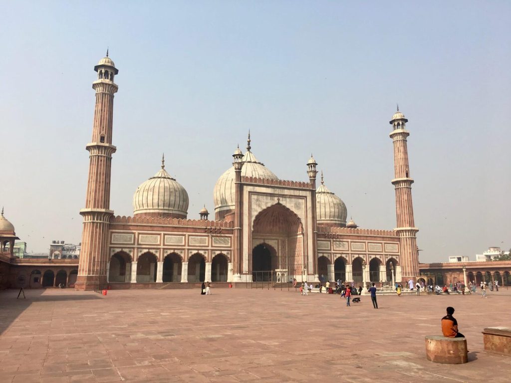 Jama Masjid o Moschea del Venerdì, Old Delhi