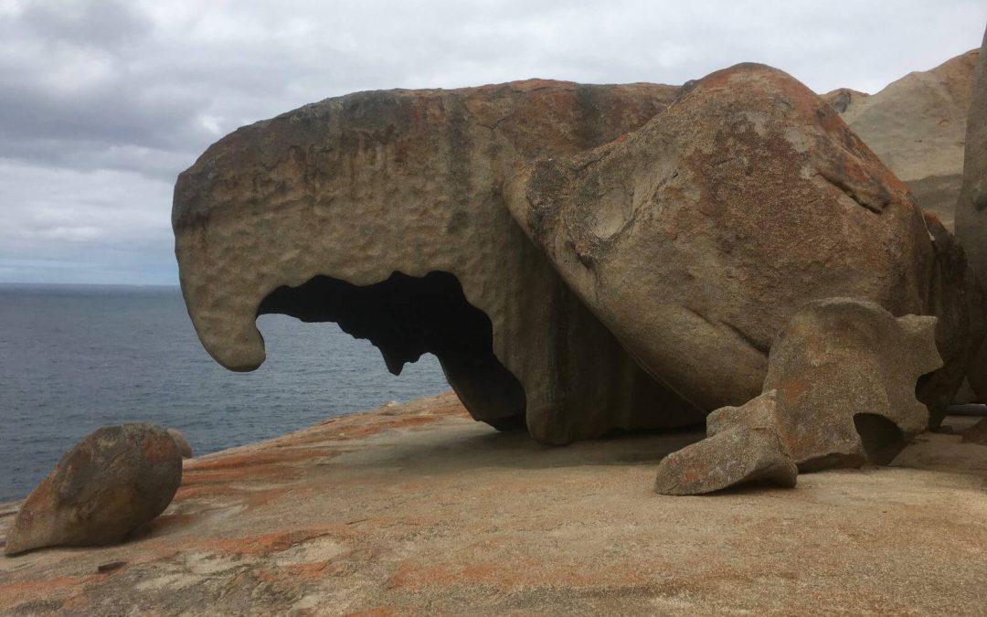 Visitare Kangaroo Island, Australia