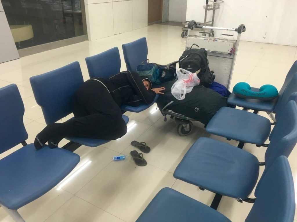 La capra mentre dorme in aeroporto