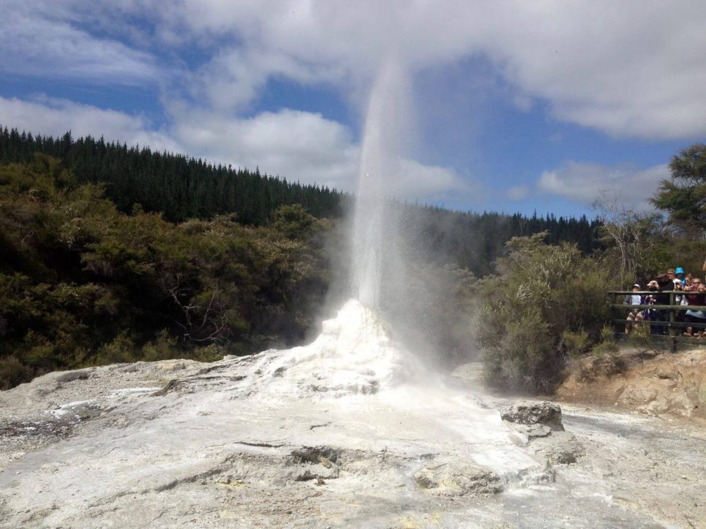 Lady Know Geyser, Wai-O-Tapu