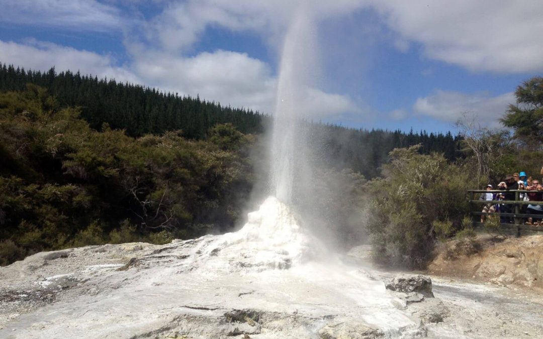 Escursione a Wai-O-Tapu, Nuova Zelanda