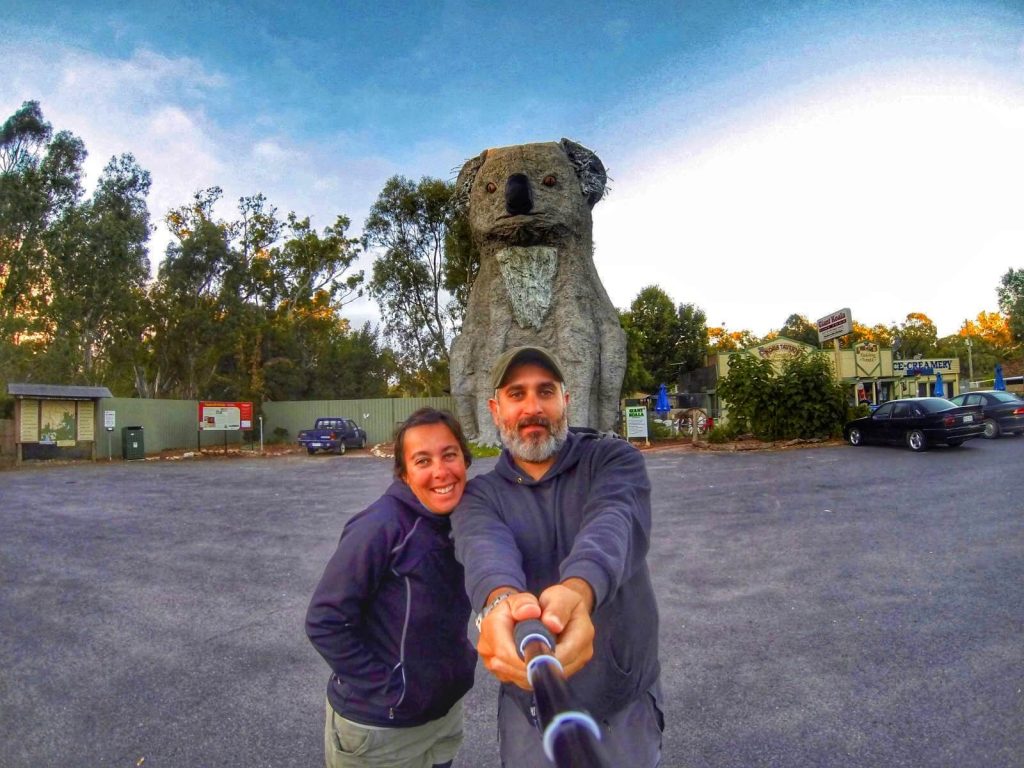 Le #2caprenelmondo con il Giant Koala