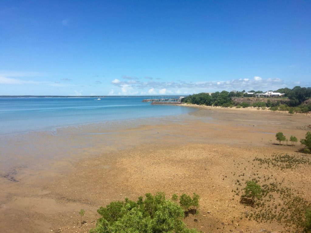 Mare di Darwin