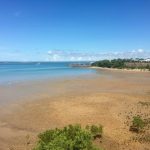 Mare di Darwin