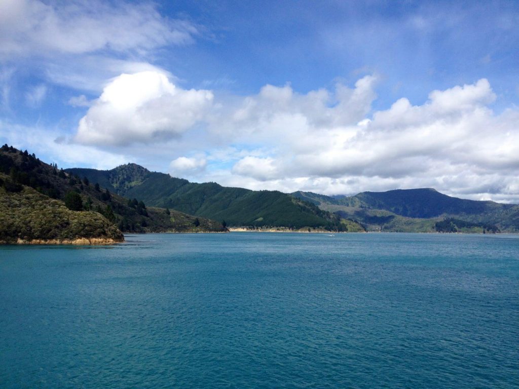 Marlborough Sounds di Picton