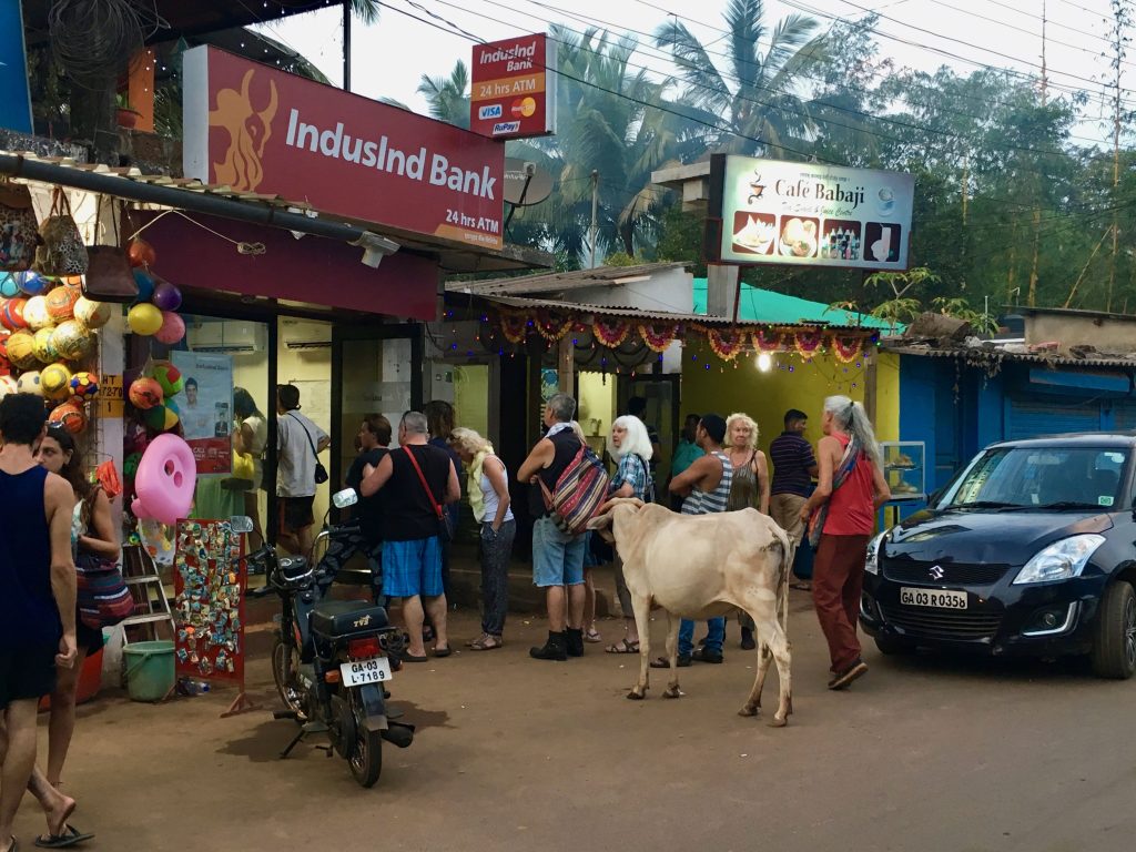 Mucca Indiana in coda all'ATM