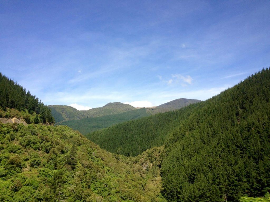 Natura incontaminata neozelandese