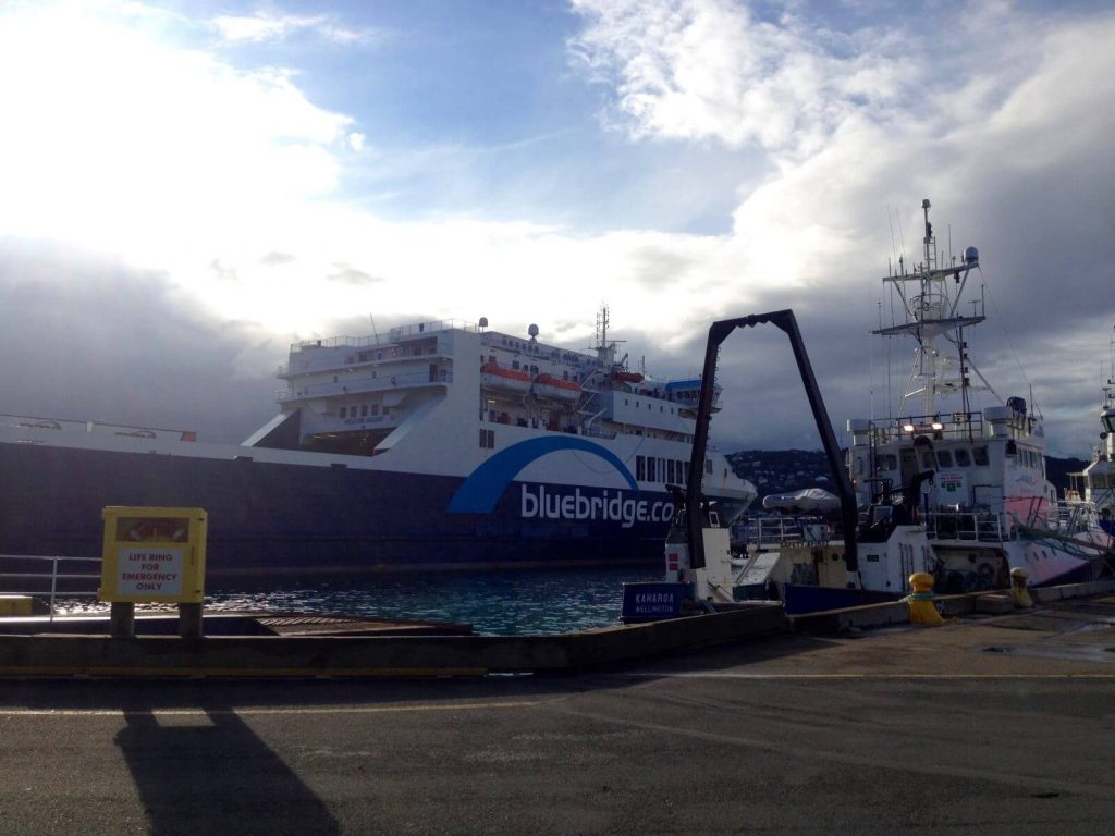 Nave Bluebridge
