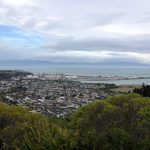 Nelson il centro geografico della Nuova Zelanda