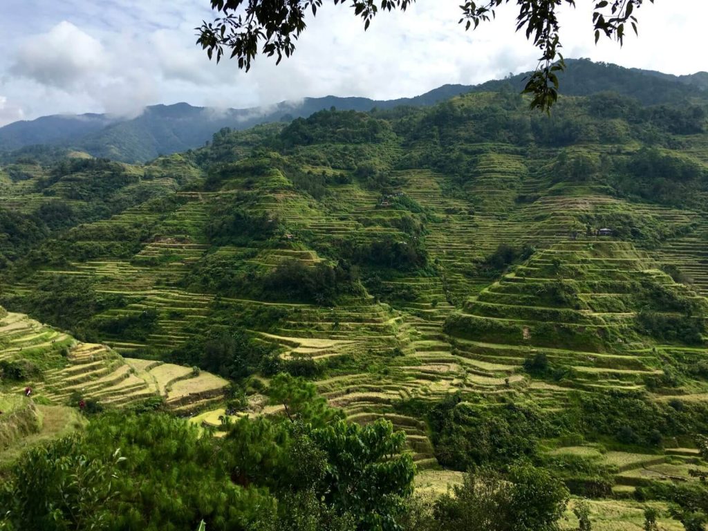 Risaie di Banaue