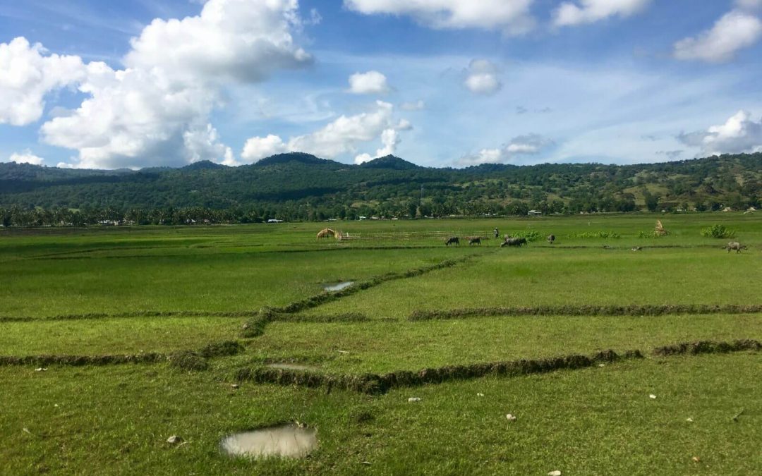 87.Da Baucau a Dili