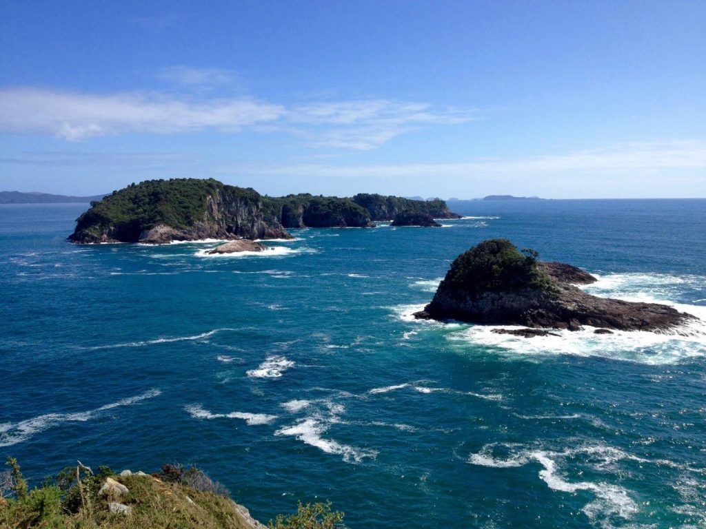 Scogliere della costa nord-orientale della Nuova Zelanda