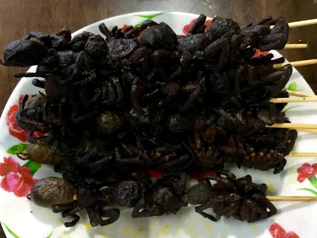 Spiedini di ragno, molto comuni in Cambogia