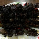 Spiedini di ragno, molto comuni in Cambogia