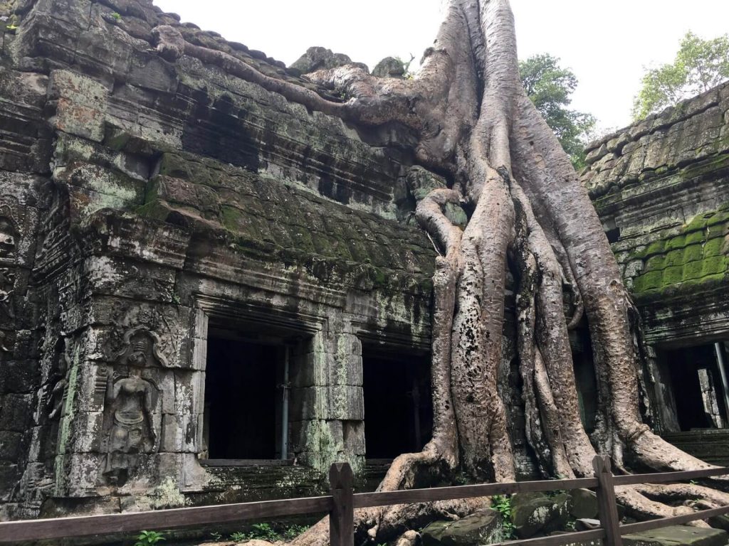 Ta Prohm, tempio dove è stato girato il film Tomb Raider