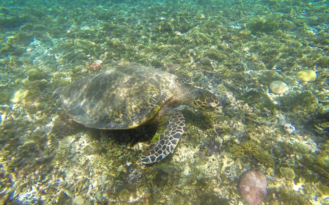 Relax a Gili Air, Indonesia